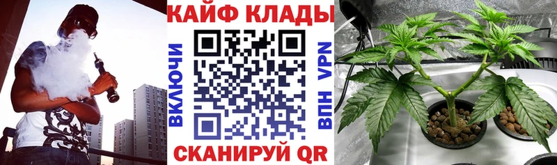 Наркошоп купить Cocaine МЕФ A-PVP Каннабис Камбарка