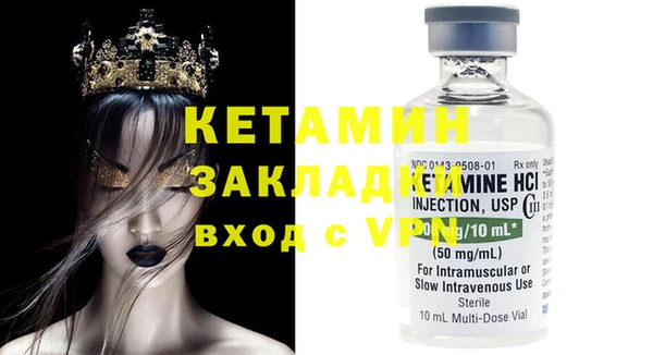 прущие грибы Коряжма