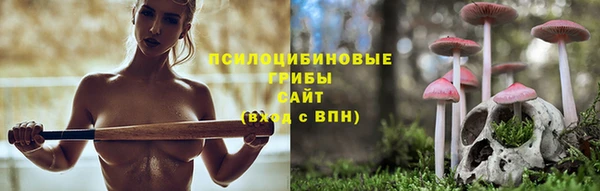 прущие грибы Коряжма