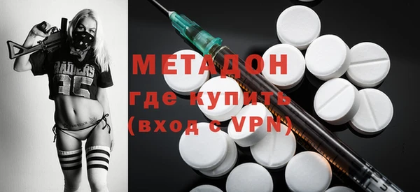 прущие грибы Коряжма