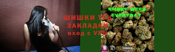 прущие грибы Коряжма