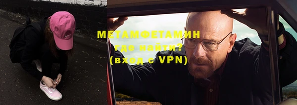 прущие грибы Коряжма