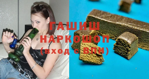 прущие грибы Коряжма