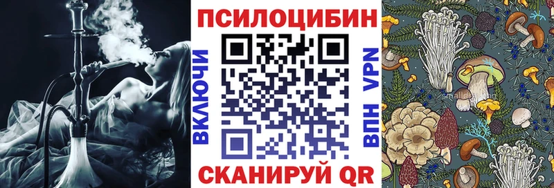 Псилоцибиновые грибы Cubensis Купить где Камбарка